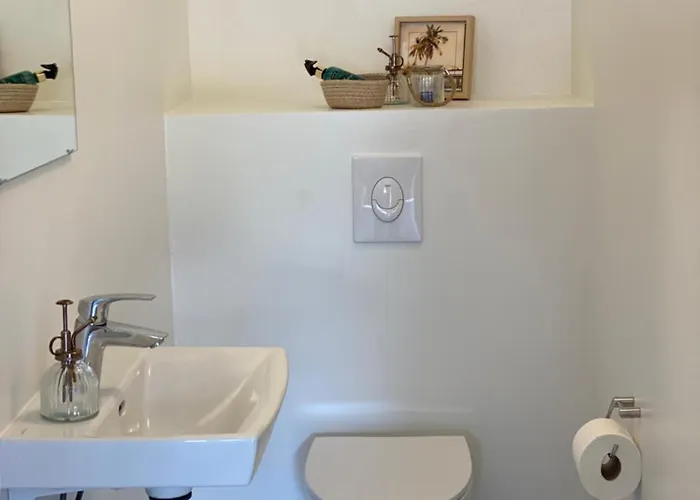 Staarup Hovedgaard *